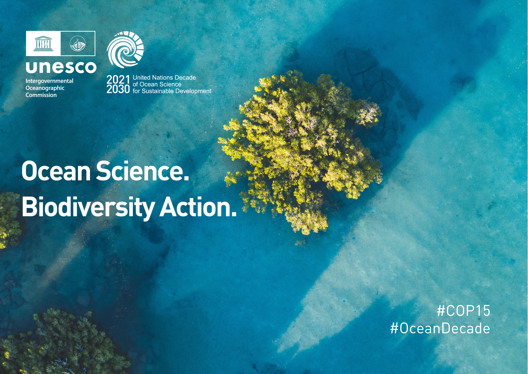 How does the COP15 to the Convention on Biodiversity affect coral