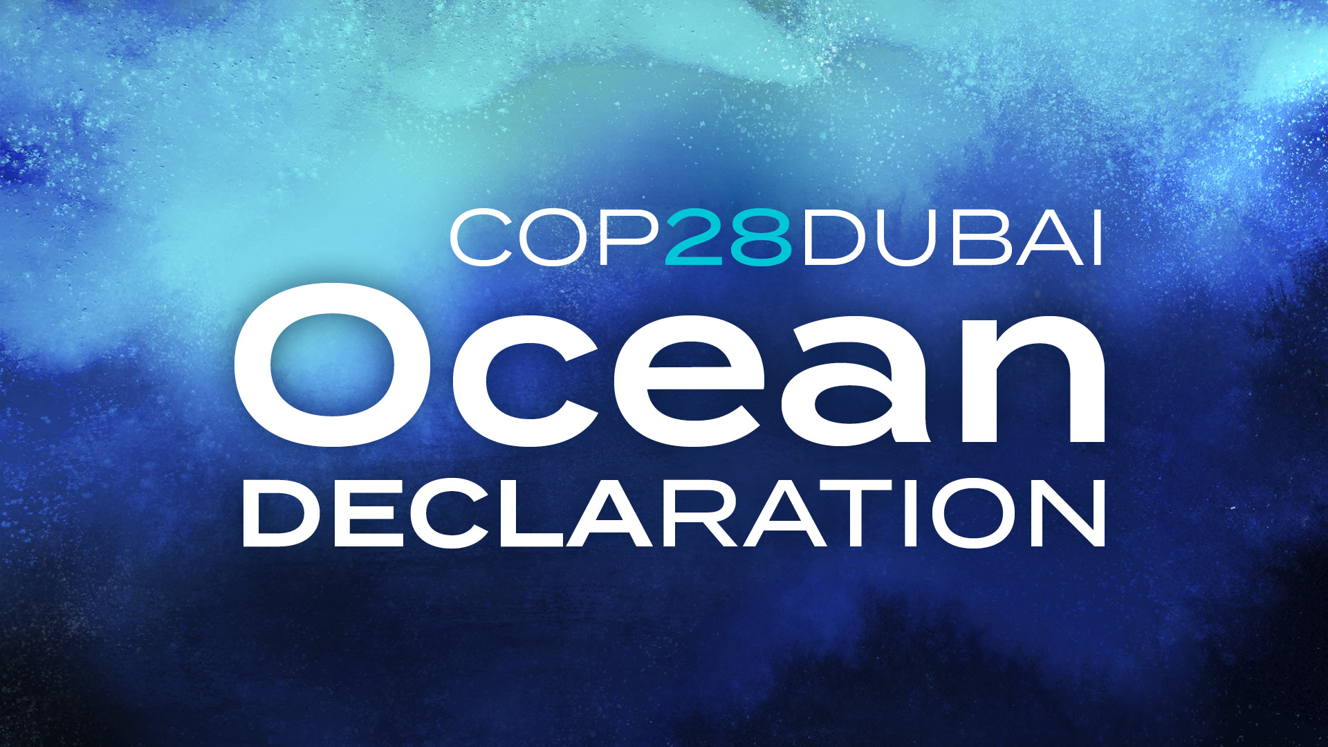 Ocean Pavilion Partners Unveil COP28 Dubai Ocean Declaration in Advance