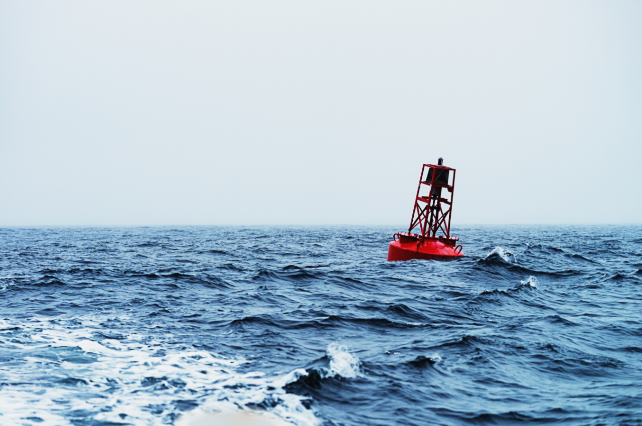 Vision 2030: Working Group 7 to sustainably expand the Global Ocean Observing System