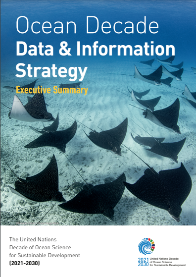 Стратегия в области данных и информации Десятилетия океана - рабочее резюме (на нескольких языках)
